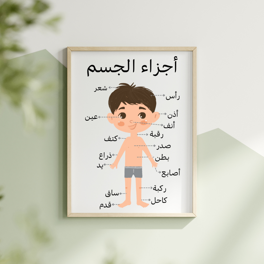 لوحة أجزاء الجسم التعليمية للأطفال - ولد