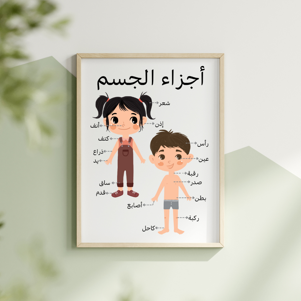 لوحة أجزاء الجسم